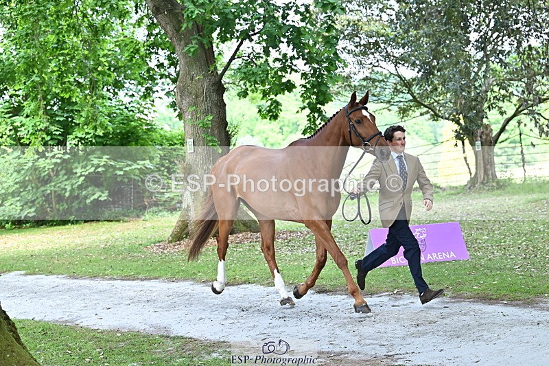 250521A-153036-00553 - B-315-Tom.McEwen-SHANNONDALE.ARNOLD