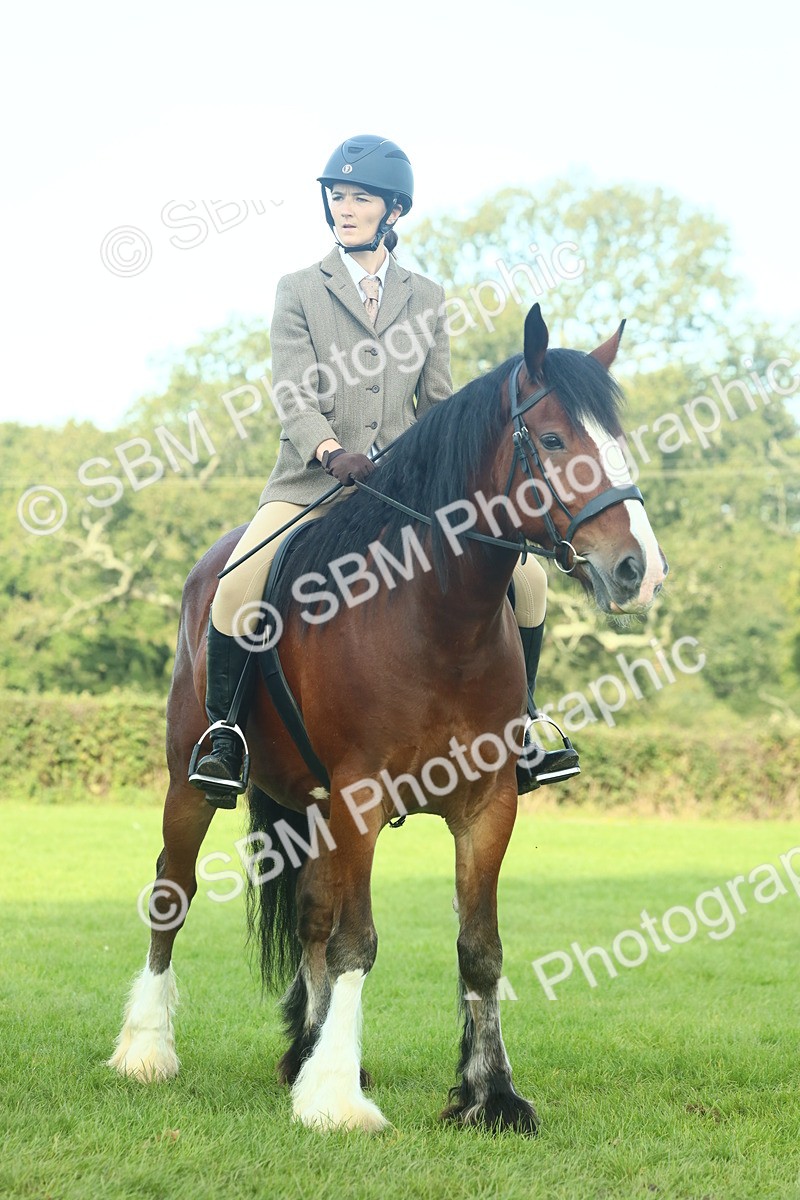 SBM_59853 - S38 - Starters Ridden Showing