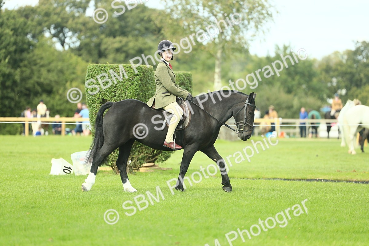 SBM_44865 - Working Hunter Pony Supreme Championship