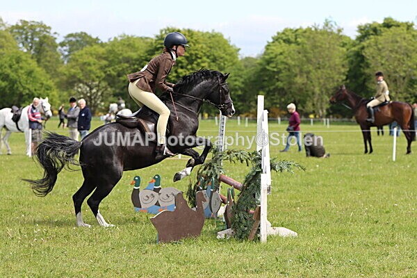 IMG_3216 - Working Hunter