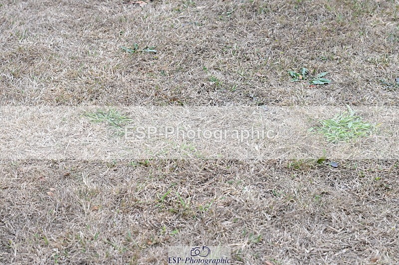 250820A-181200-12603 - Wednesday Presentations