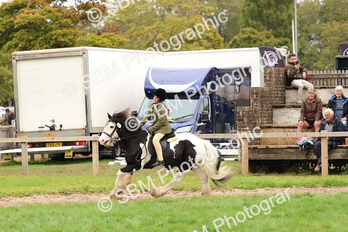 SBM_64570 - S58 - Coloured Pony Ridden