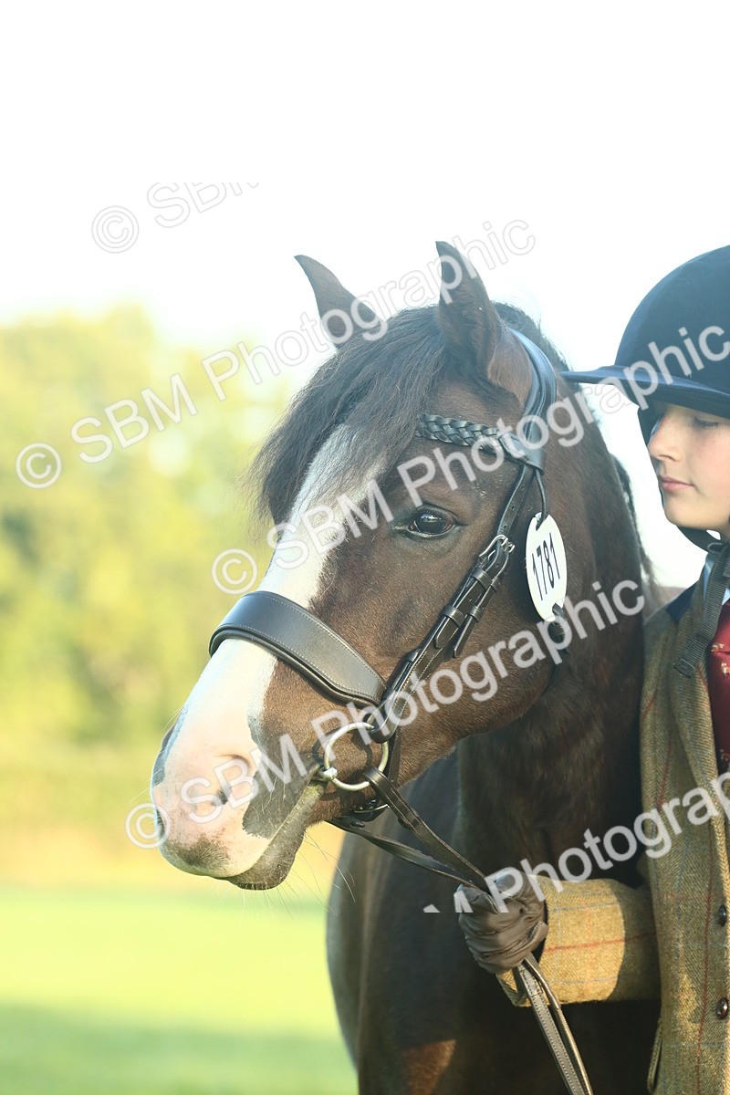 SBM_56643 - S36 - Starters Best Turnout