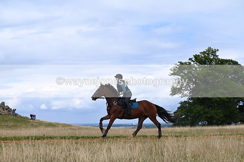 DSC_7696 - Time at Statue 13:16 to 13:52