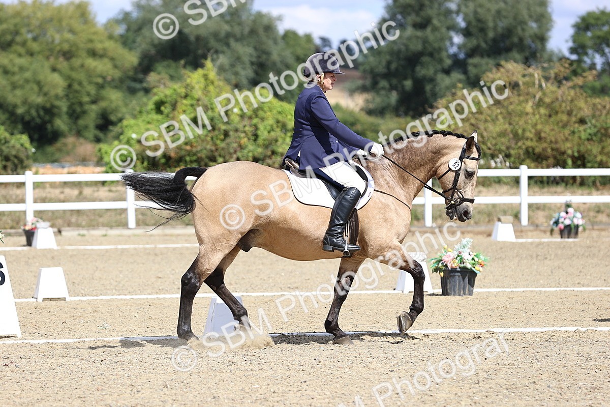 SBM_014483 - Class 5 - E5 Bronze 13.30.14.18