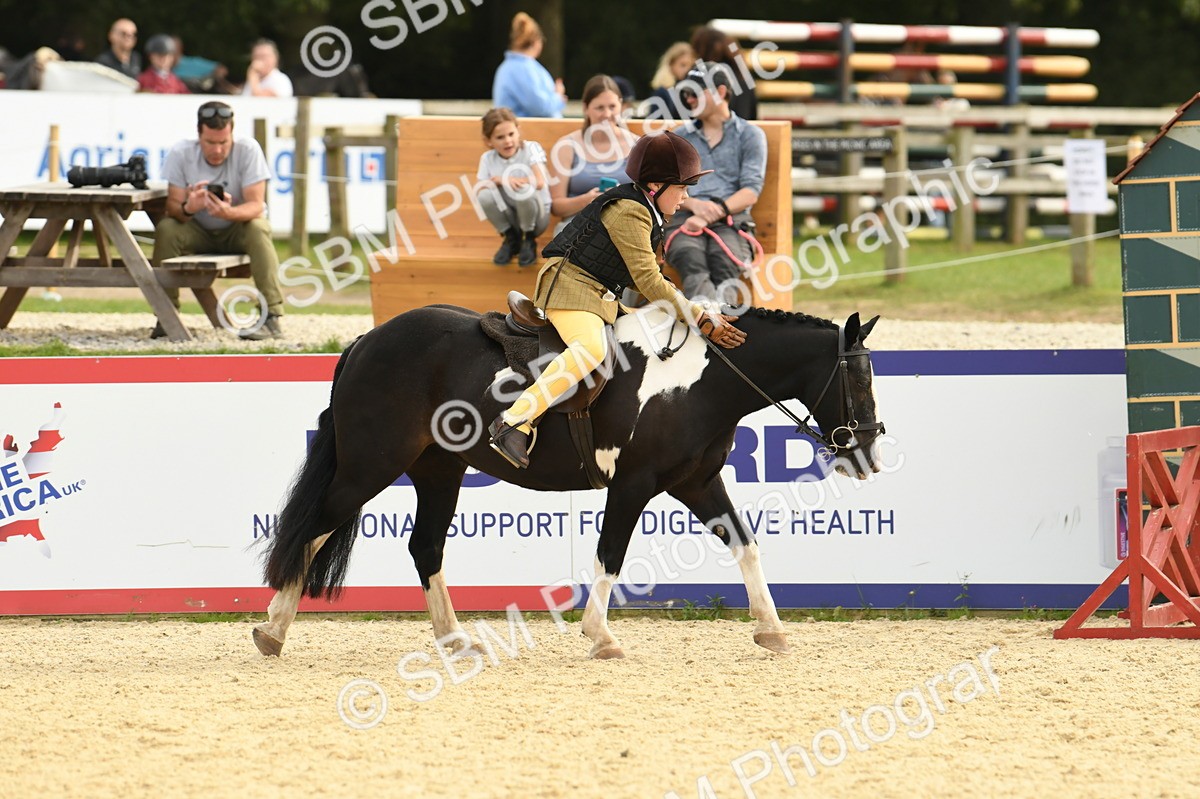 SBM_71136 - J15 - Junior Pony 70cm Championship