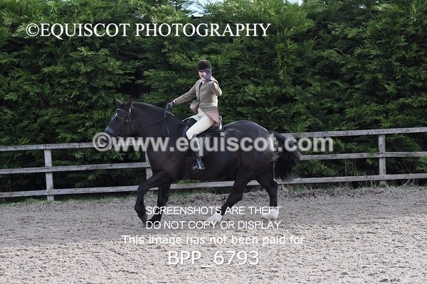 BPP_6793 - RING 1  (RIDDEN HORSES / IN HAND / VETERAN ETC)