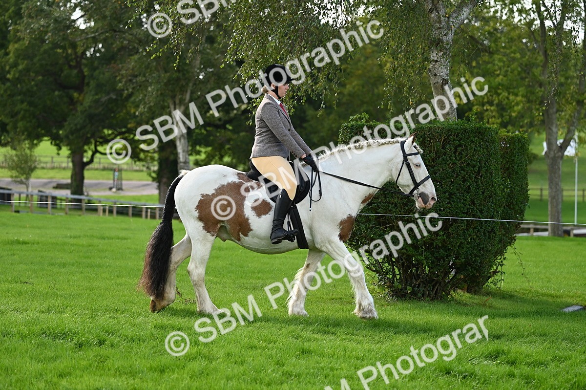 SBM_01247 - S2 - TSR Ridden Horse Showing