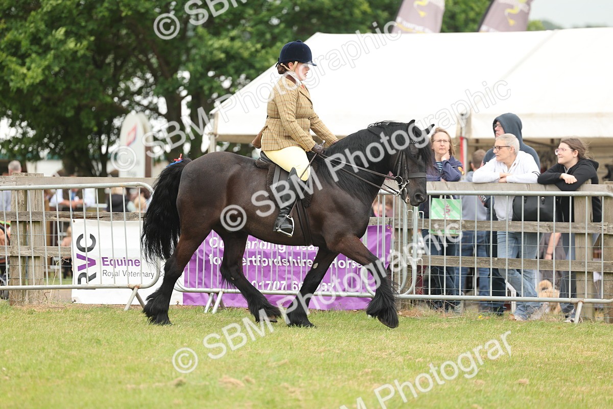 SBM_08910 - Class 78-80 - Ridden M&M Non Welsh Ponies