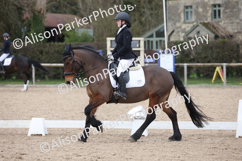 20260301-0954 - Class 6 - Elementary 5