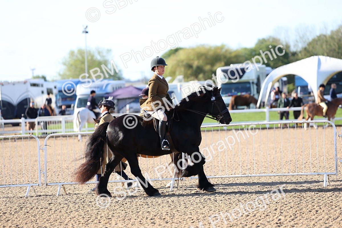 SBM_08757 - Class 302 - Ridden M&M - Large Breeds