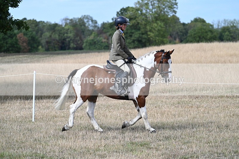 WJ7_7020 - Class 14 Ridden Coloured