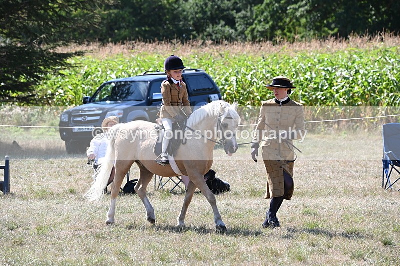 WJ6_8042 - Class 36 Lead Rein