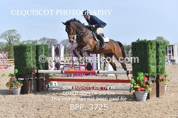 BPP_3725 - CLASS 2 Club/ Unaffiliated 80cms Open