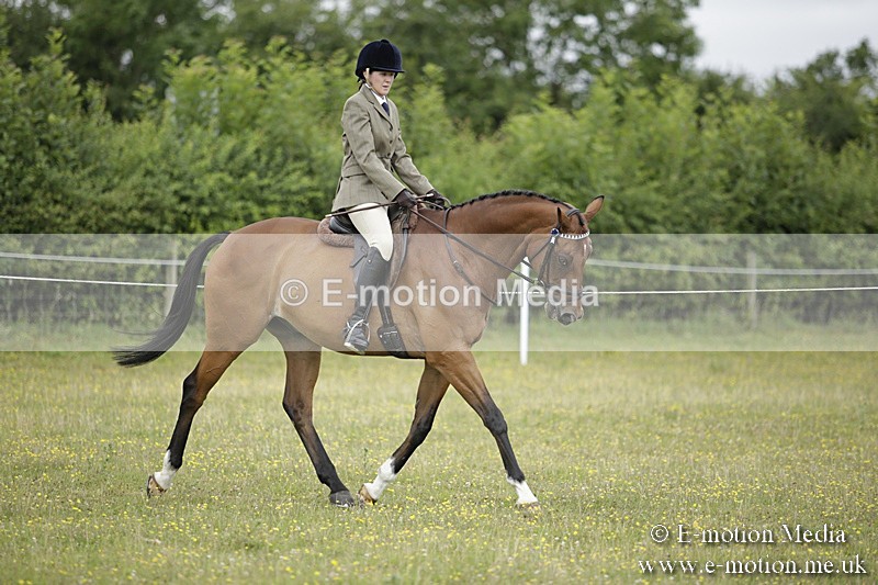 BVR160717-443 - Ring 1 BVRC Show 16/07/17