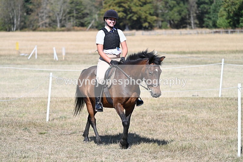 WJ7_1450 - Class 42 Most Handsome Gelding