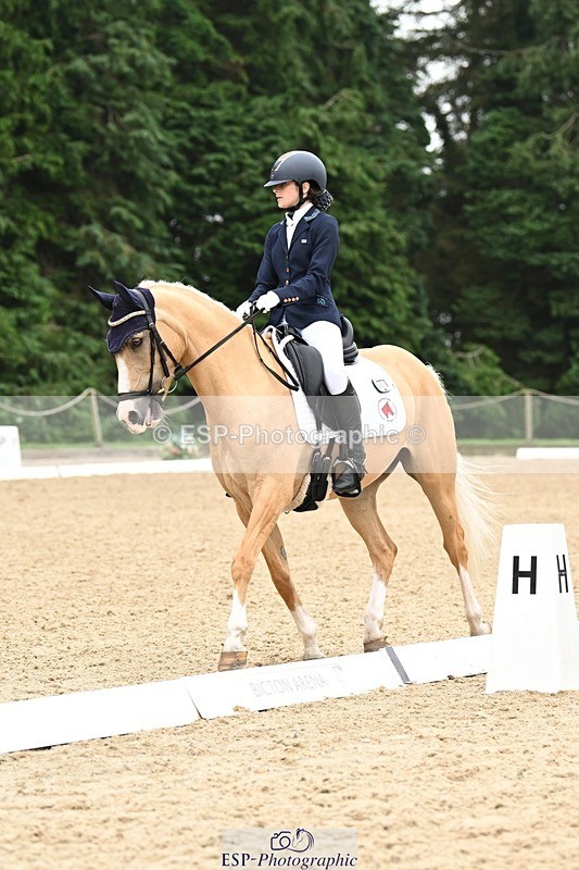 240811-122621-05831 - 301-Sophia.Longworth-Don.Deluxe