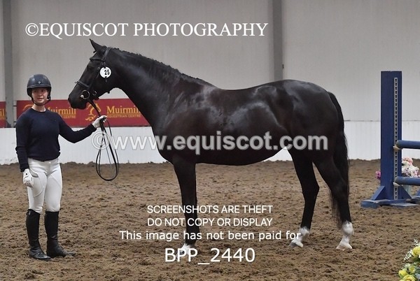 BPP_2440 - AFTERNOON 12.30 - 3.30PM