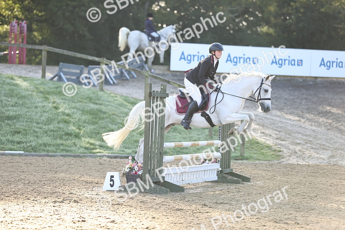 SBM_33187 - J38 - Senior 80cm Championship