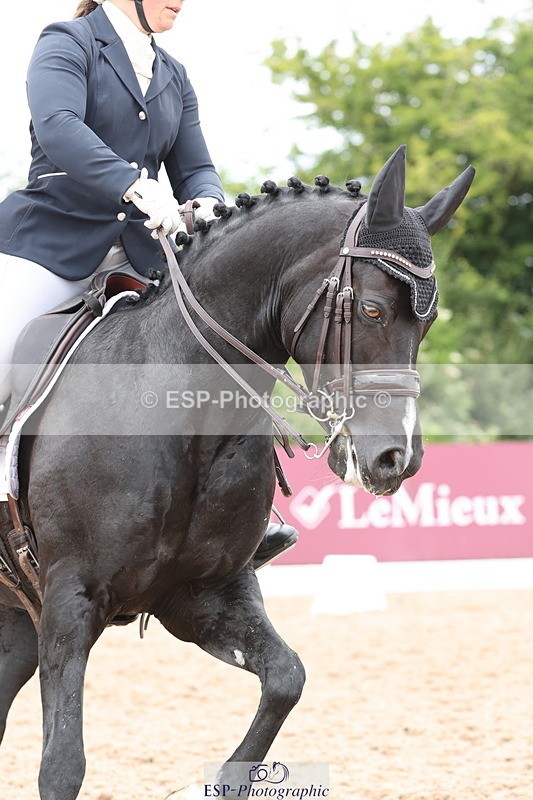 240622A-141818-13442 - Cls 33 BD Medium 73