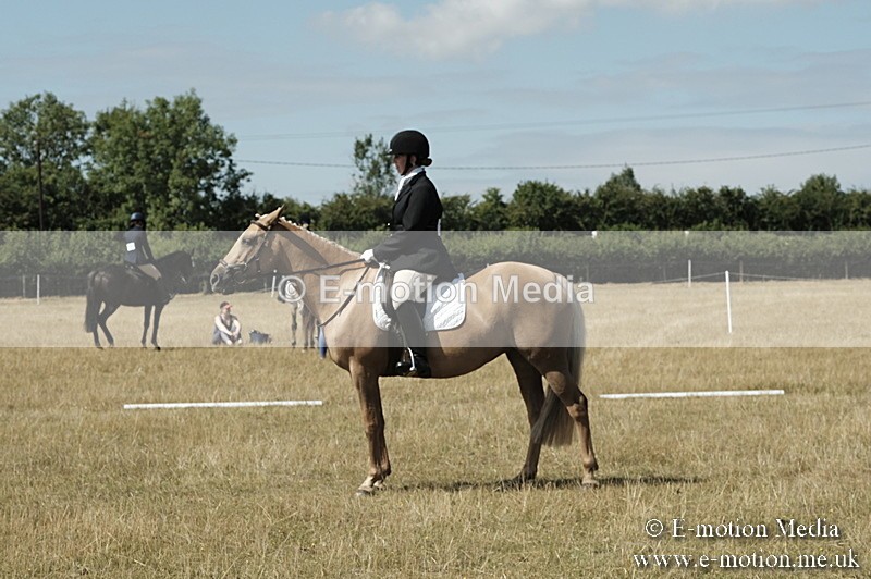 _PJP5814 - Dressage Classes BVRC Show 2018