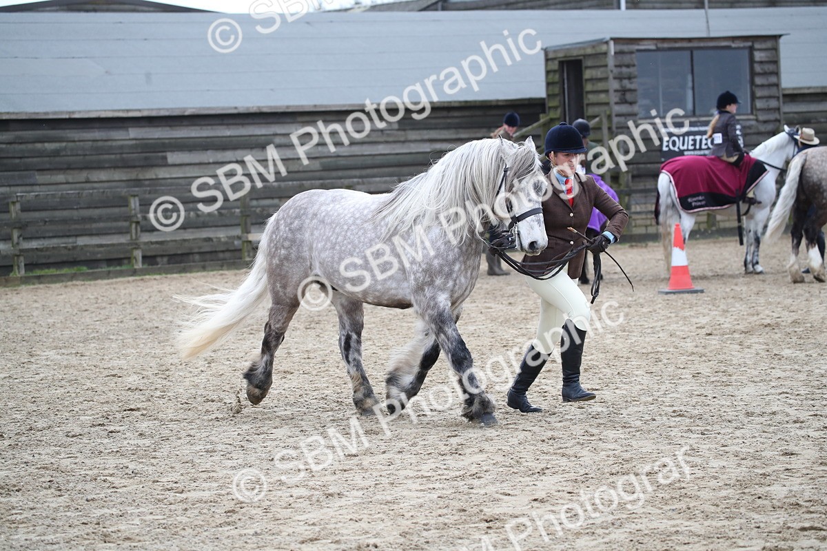 SBM_007258 - Class 10-13 - RIHS Small Large Breeds