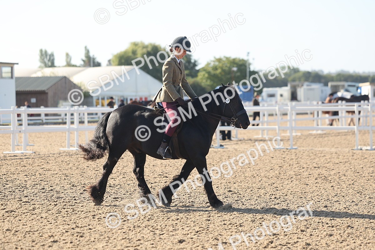 SBM_22165 - Class 802 - Ridden Groom Helpers Class