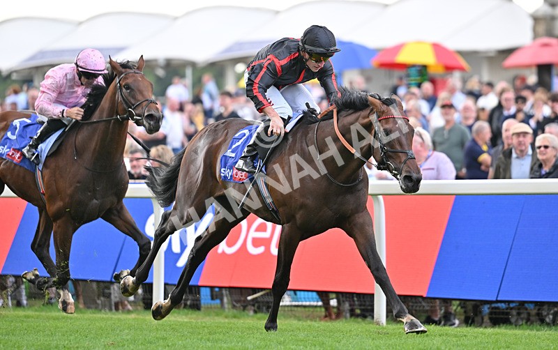190826-081 Maltese Cross - Race 3 15.00pm Sky Bet Great Voltigeur Stakes