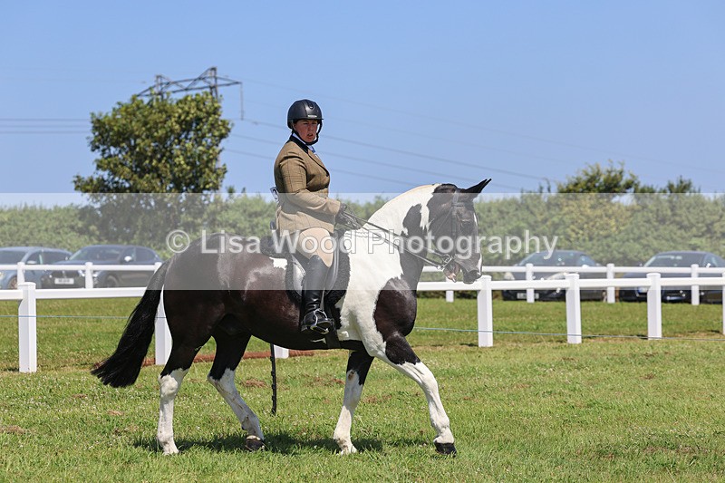IMG_2370 - Class 38: Veteran Ridden