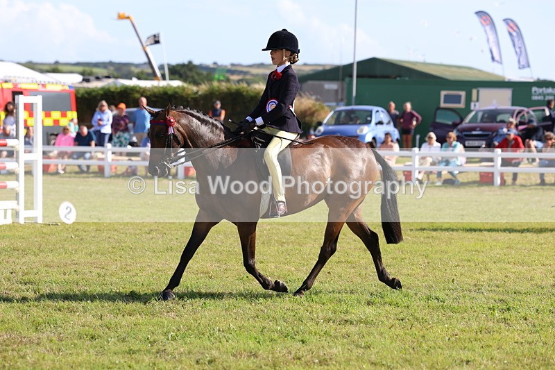 3E7A4044 - Supreme Championship