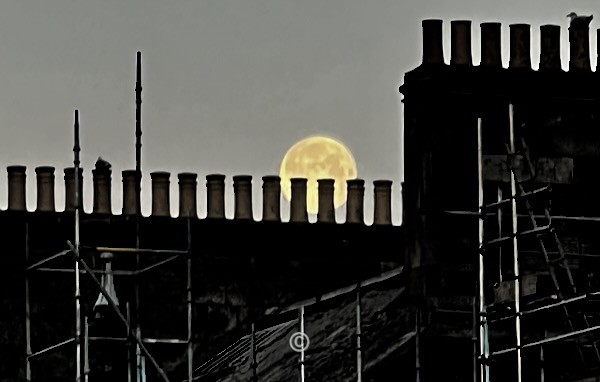 Twenty Lums. - Photographic Work.