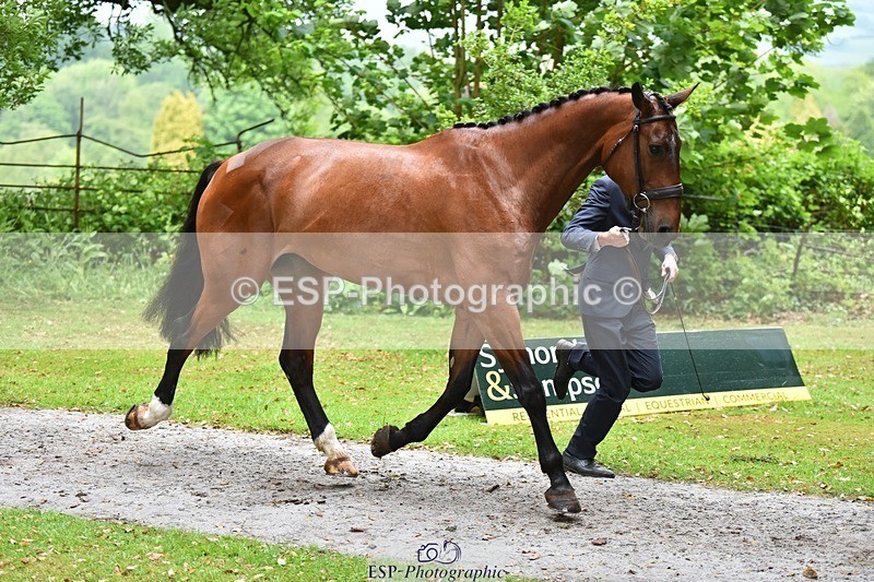 240522-163524-01029 - 213-GLOBAL_KARINA-Hector_Payne