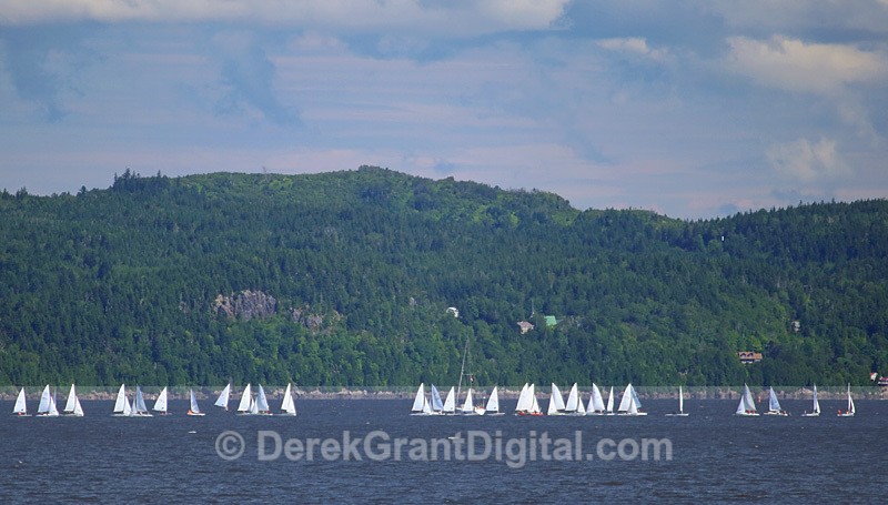 RYC Regatta Kennebecasis Bay Rothesay New Brunswick - Sport & Recreation