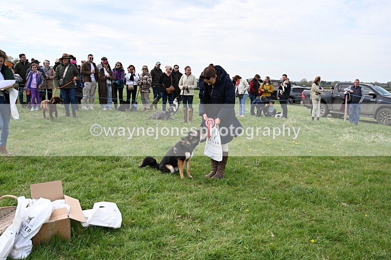 WJ6_8590 - Class 6 Best Rescue