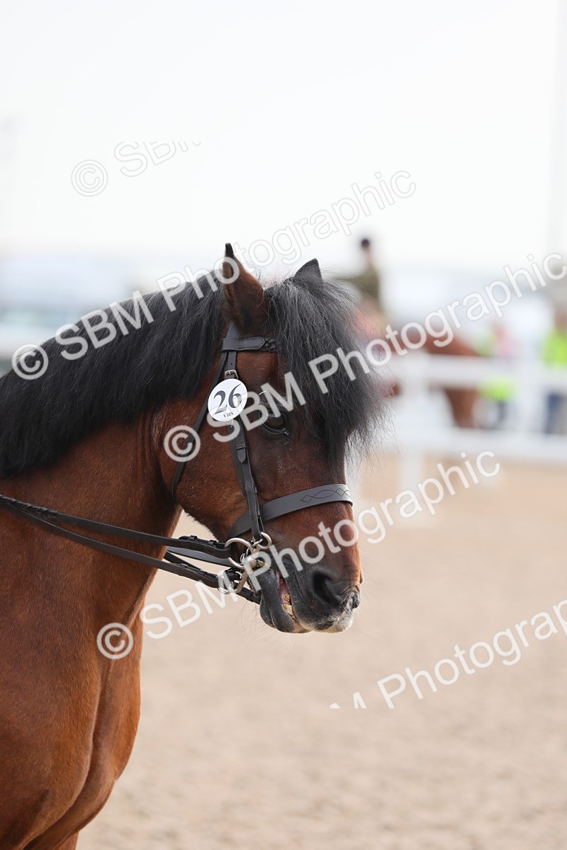 SBM_09638 - Class 301 Ridden M&M -Small Breeds
