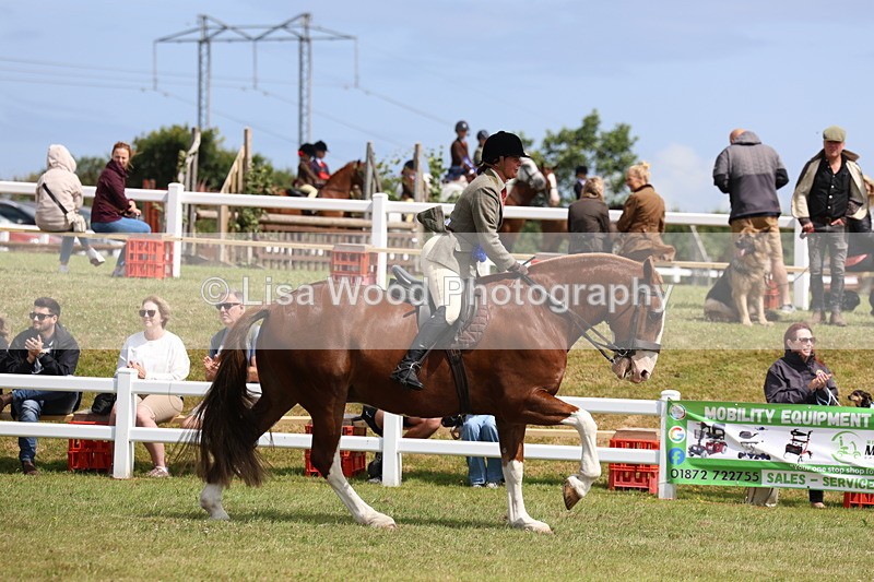 3E7A0439 - Class 6: Rising Star Maxi Cobs