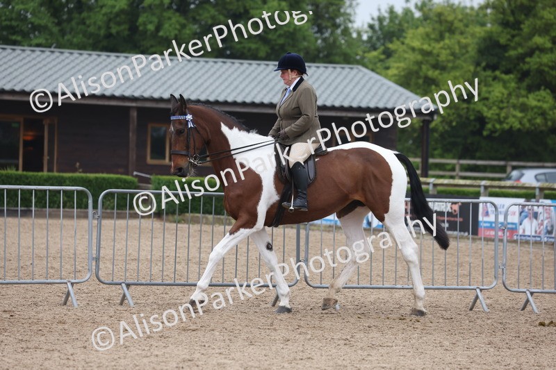 20260504-1041 - Class 14 - Cob and Hunter