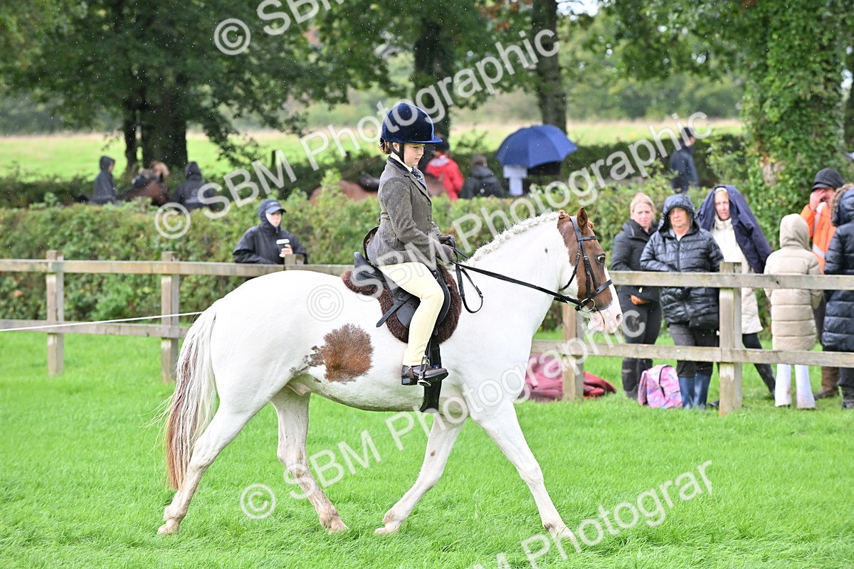 SBM_43041 - S12 - Family Horse & Pony