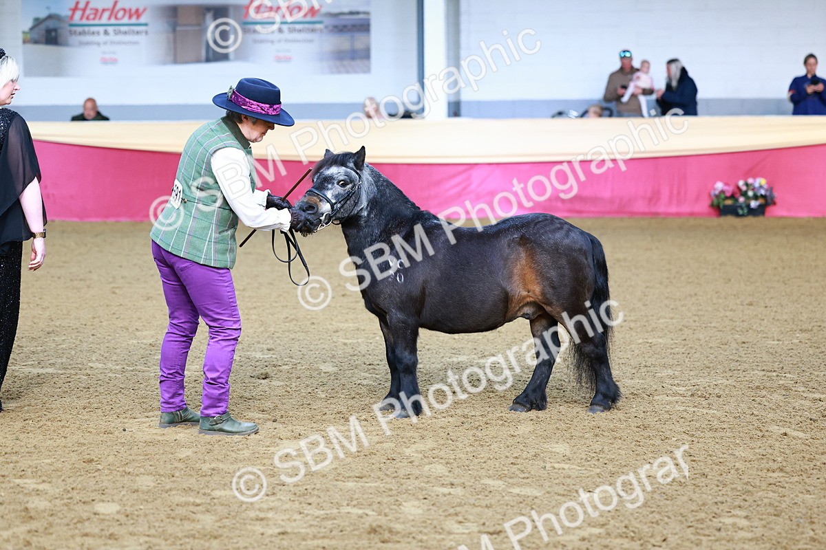 SBM_21671 - Class 901 - Supreme Final - IH  Diamond