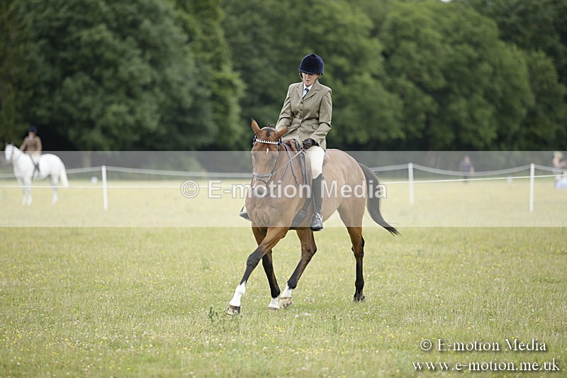 BVR160717-474 - Ring 1 BVRC Show 16/07/17