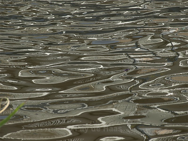  - Water gazing