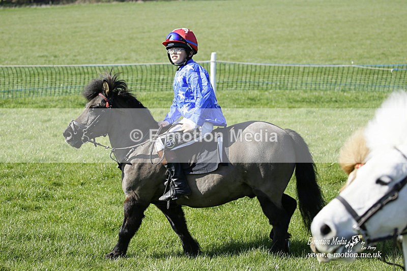 PtP 190322 61 - Wilton Hunt PtP Milborne St Andrew 19/03/22