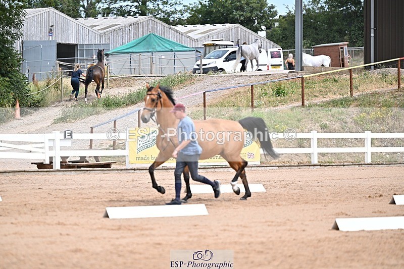 250716-132401-00482 - Trot Up 12.30 to 1.30