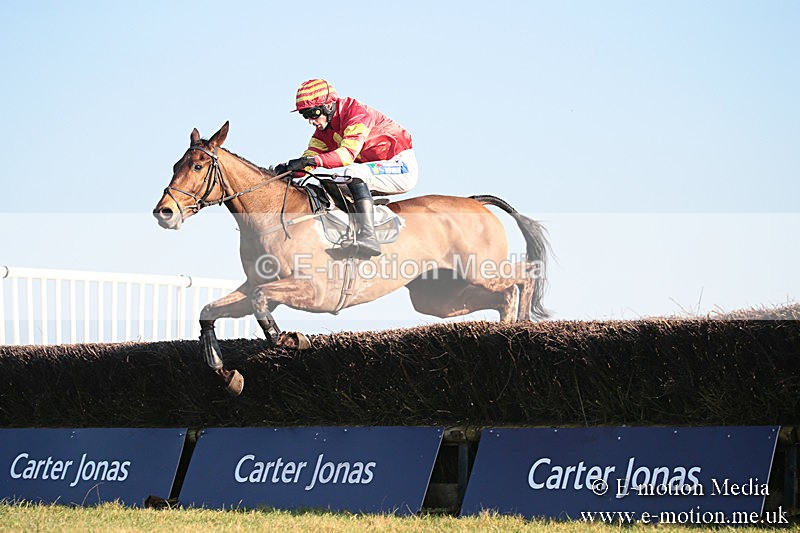 PtP 230219 539 - Vine & Craven Point-To-Point - Barbury 23/02/19