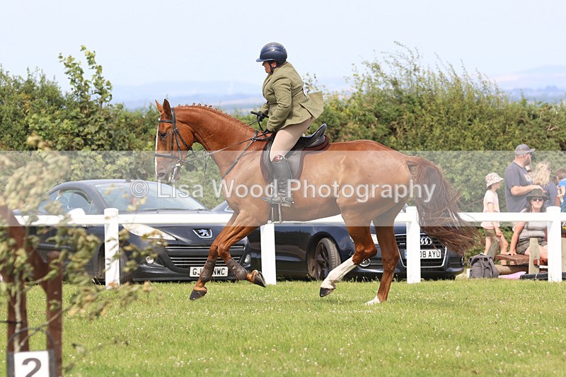 JPP_3760 - Class 23: Working Hunter 80cm