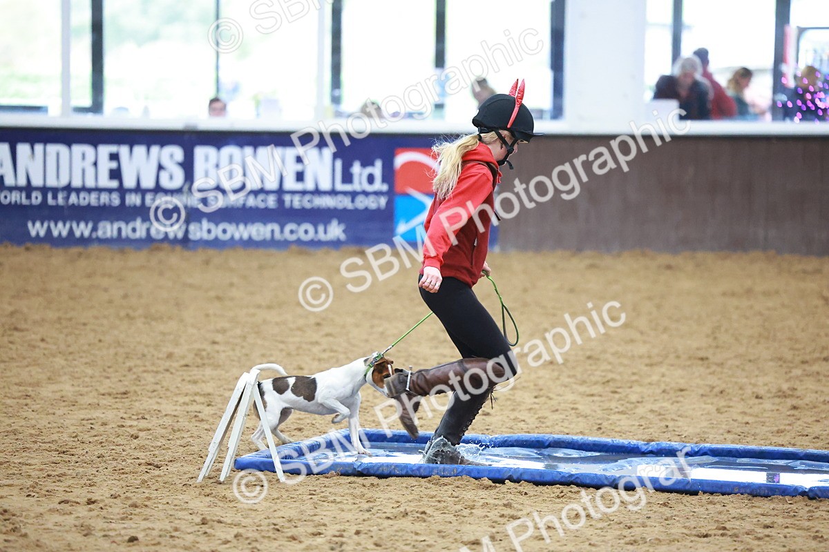 SBM_002121 - Class 3 - Horse & Hound (60cm)