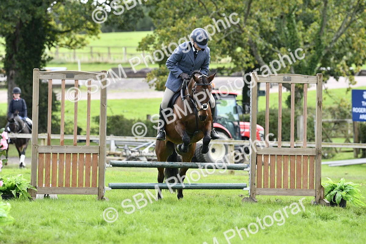 SBM_45621 - S33 - Working Hunter Pony