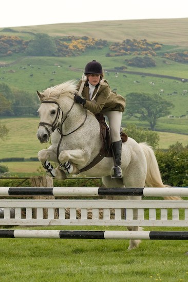 27 - Equestrian Photography