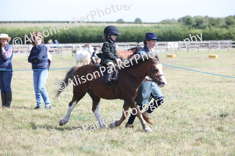 20250831-2804 - Class 18 - Childs First Pony