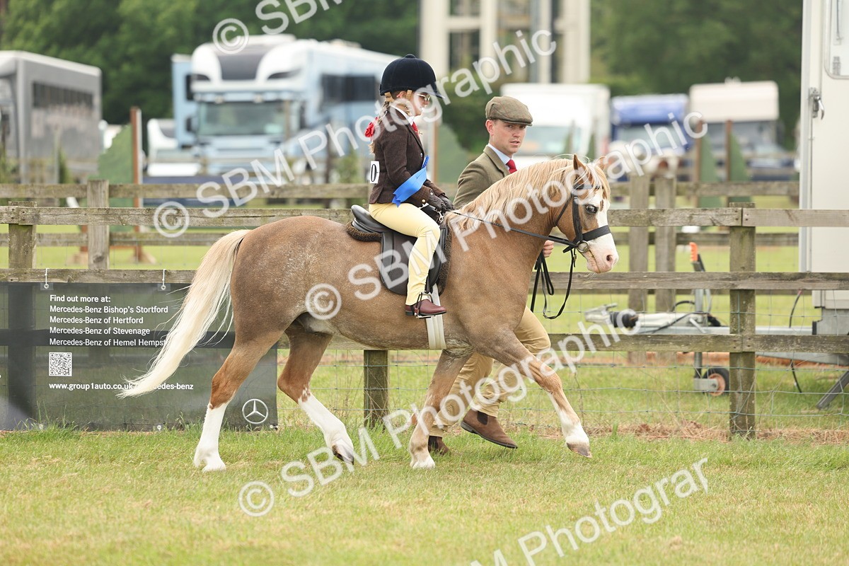 SBM_06839 - Class 74-75 - M&M Lead Rein and First Ridden Pony